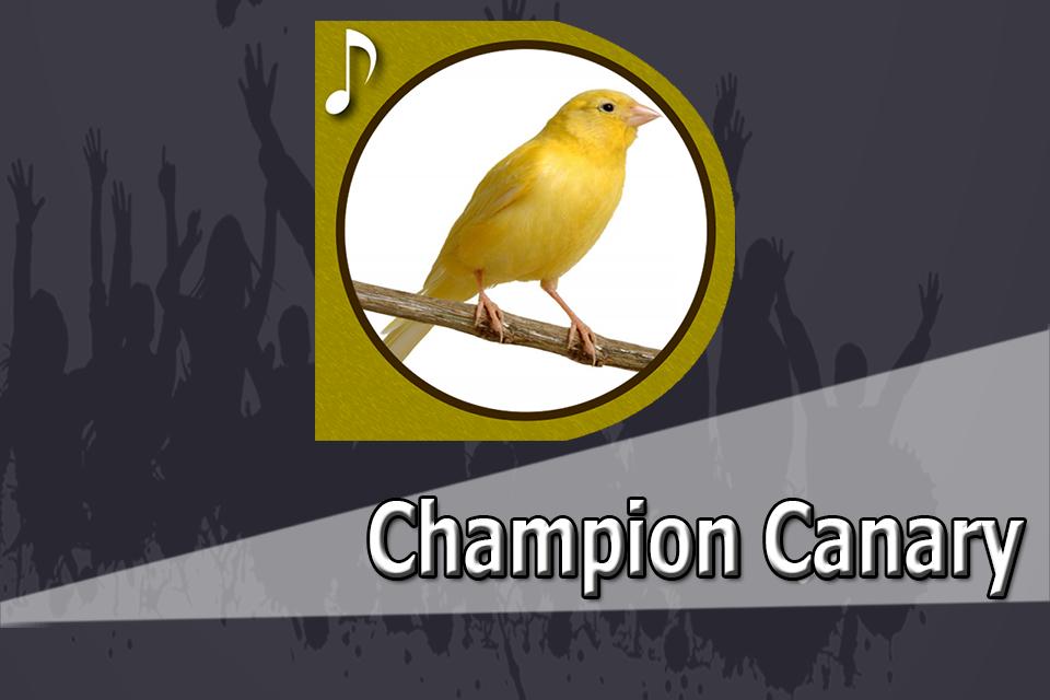 Android canary Android canary