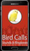 پوستر Birds Calls Ringtones