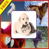 Best Animals HD  Wallpapers ikona