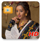 Ethiopian Tv Show アイコン
