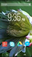 Cactus Flower Live Wallpaper 海报