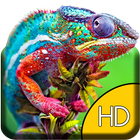 Colorful Chameleon Live WP icône