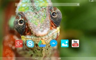 Colorful Chameleon Live WP capture d'écran 3