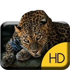 Funny Cheetah Live Wallpaper ไอคอน