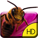 Hardworking Bee Live Wallpaper APK