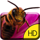 TRAVAILLEUR Bee Live Wallpaper icône