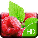 Sweet Raspberry Live Wallpaper APK