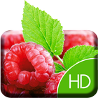 Sweet Raspberry Live Wallpaper biểu tượng