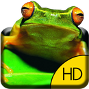 Sauvage Frog Live Wallpaper APK