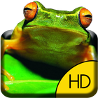 Wild Frog Live Wallpaper 图标