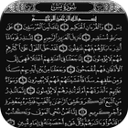 Surah Yasin with Audio icône