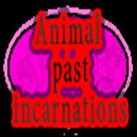 Animal past incarnations الملصق