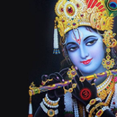 Krishna Wallpapers Themes APK