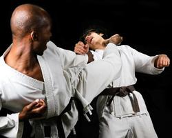Sport Judo Fans Wallpapers Themes 스크린샷 3
