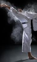 Sport Judo Fans Wallpapers Themes poster