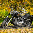 Thèmes Harley Davidson Moto Fonds d'écran