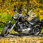 Temas Harley Davidson Moto Wallpapers icono