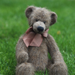 Papéis de parede de brinquedos Teddy Bear