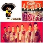 Mariachis Villavicencio আইকন