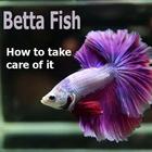 Betta Fish أيقونة