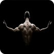 ”Bodybuilding Wallpapers HD