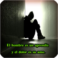 frases de dolor