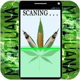 Scanner Marijuana free App Prank