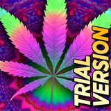 Psychedelic Marijuana Live Wallpaper FREE icône