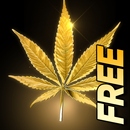 Marijuana Live Wallpaper FREE TRIAL APK