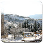 Arachova آئیکن