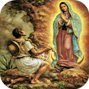 A La Virgen De Guadalupe APK