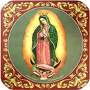 12 De Diciembre Dia De La Guadalupana Imagenes APK