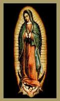 12 De Diciembre Dia De La Guadalupana Imagenes 포스터