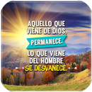 Frases De Dios Para Una Mujer APK