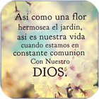 Frases De Dios Para Salir Adelante أيقونة