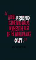 Friendship Quotes And Sayings capture d'écran 1