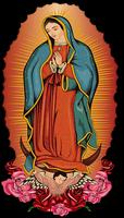 La Divina Guadalupe Imagenes ภาพหน้าจอ 2