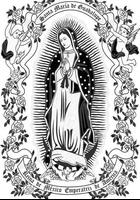 La Divina Guadalupe Imagenes ảnh chụp màn hình 3