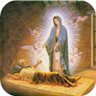 La Hermosa Virgen Imagenes ไอคอน