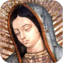 La Virgen Guadalupana Imagenes APK