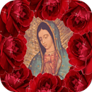 La Virgen De Guadalupe In Rose APK