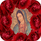 La Virgen De Guadalupe In Rose icône