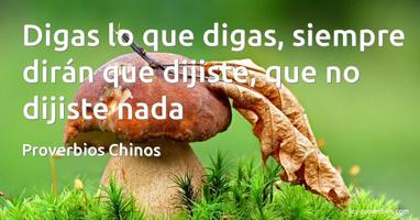 Proverbios Chinos De Superacion-poster