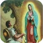 ikon Santa Guadalupe Imágenes