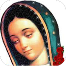 Virgen De Guadalupe Letra aplikacja