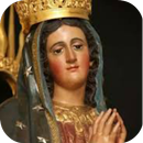 Virgen De Guadalupe En Mexico aplikacja
