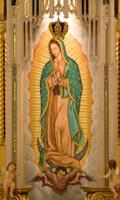 Virgen De Guadalupe Festival In Mexico bài đăng