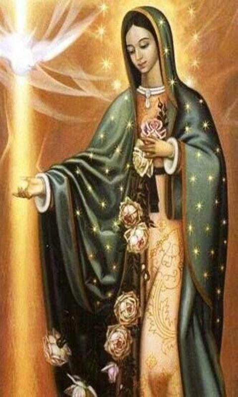 Virgen De Guadalupe Original Imagen 스크린샷 1.