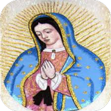 Virgen De Guadalupe Vector icône
