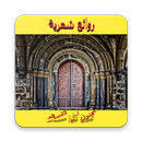 مجنون ليلى: القصائد APK